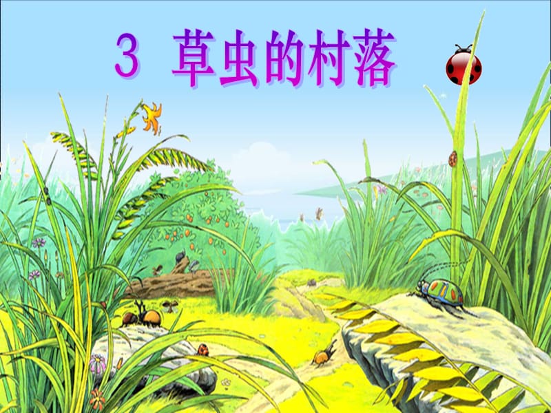 3草虫的村落.ppt.ppt_第1页