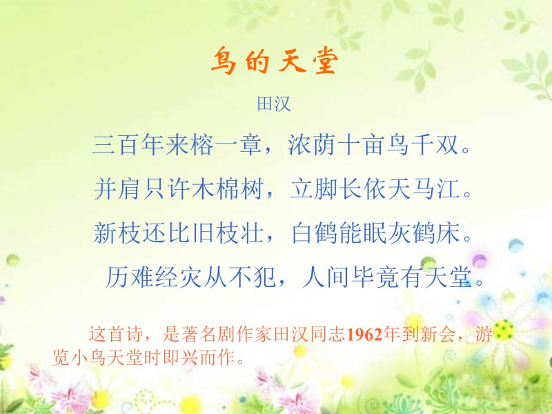 3《鸟的天堂》PPT课件.ppt_第2页