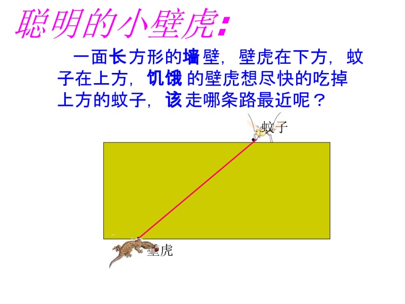 4.3立体图形的表面展开图.ppt_第3页