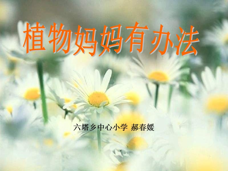 3《植物妈妈有办法》PPT课件.ppt_第1页