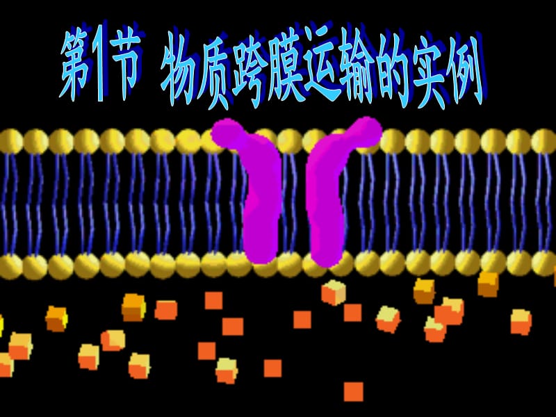 4.1物质跨膜运输的实例-.ppt_第3页