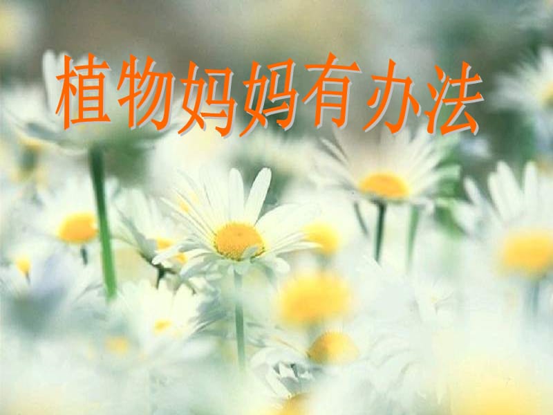 3《植物妈妈有办法》.ppt_第1页