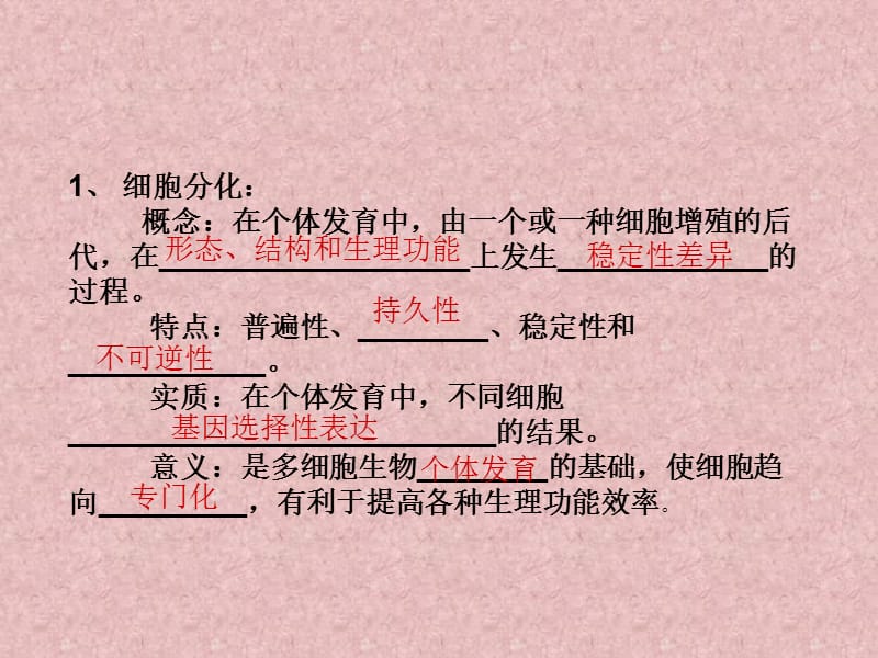 6.2《细胞的分化》课件5王德清.ppt_第3页