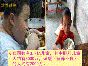 3综合应用：营养午餐2.ppt