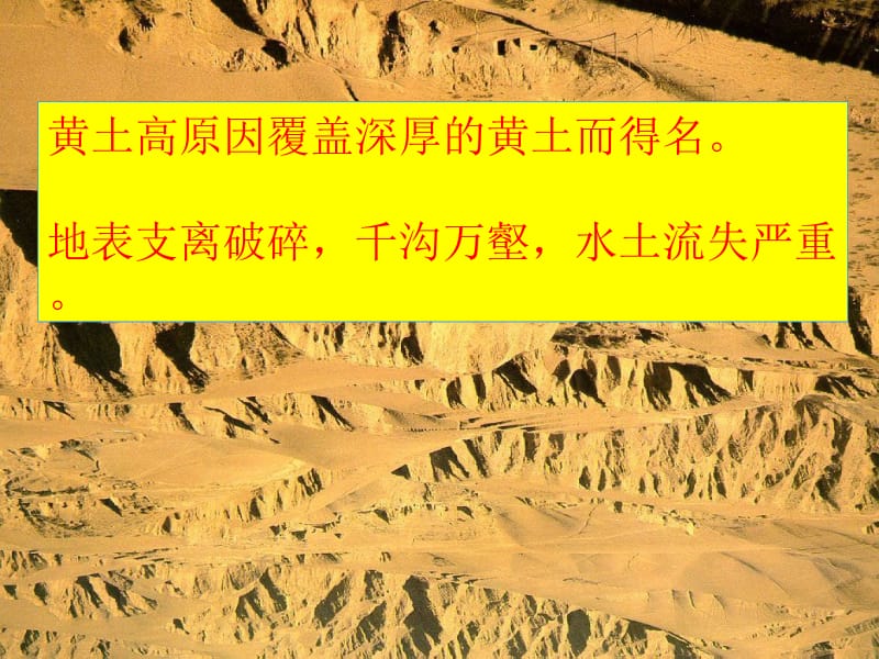 世界上最大的黄土堆积区——黄土高原(新人教版).ppt_第2页