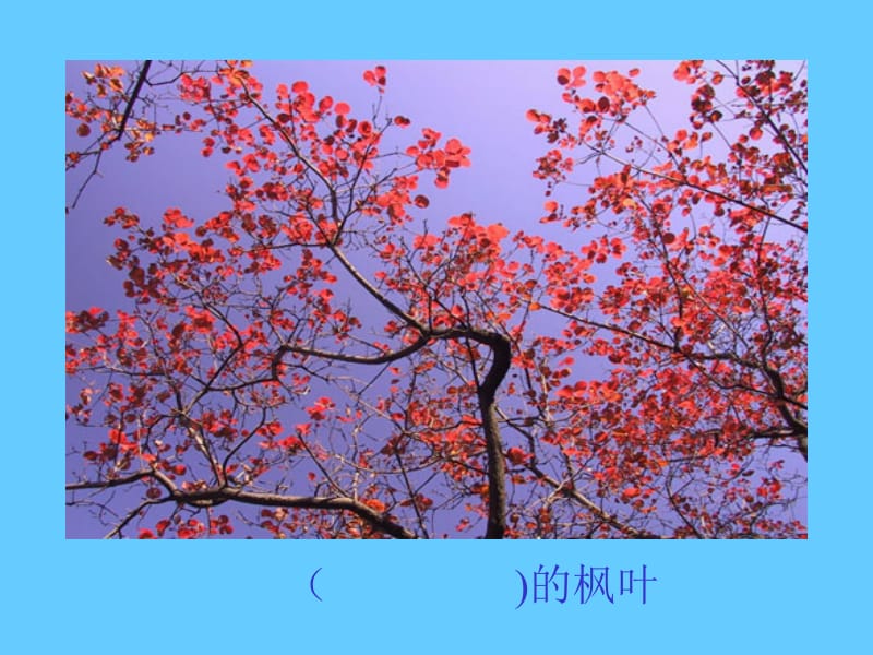 19《蓝色的树叶》课件PPT.ppt_第2页