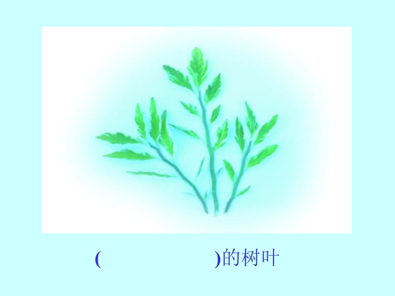 19《蓝色的树叶》课件PPT.ppt_第3页