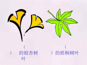 19《蓝色的树叶》课件PPT.ppt