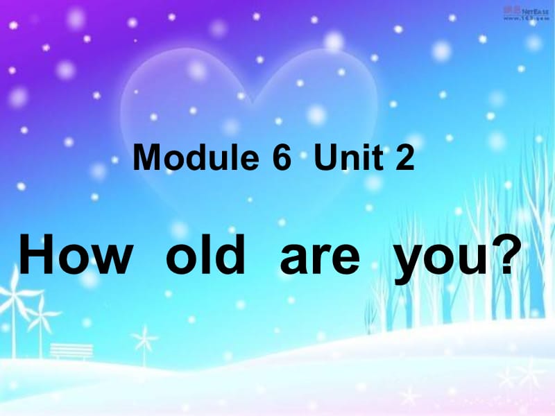 6Unit2Howoldareyou(3).ppt_第1页