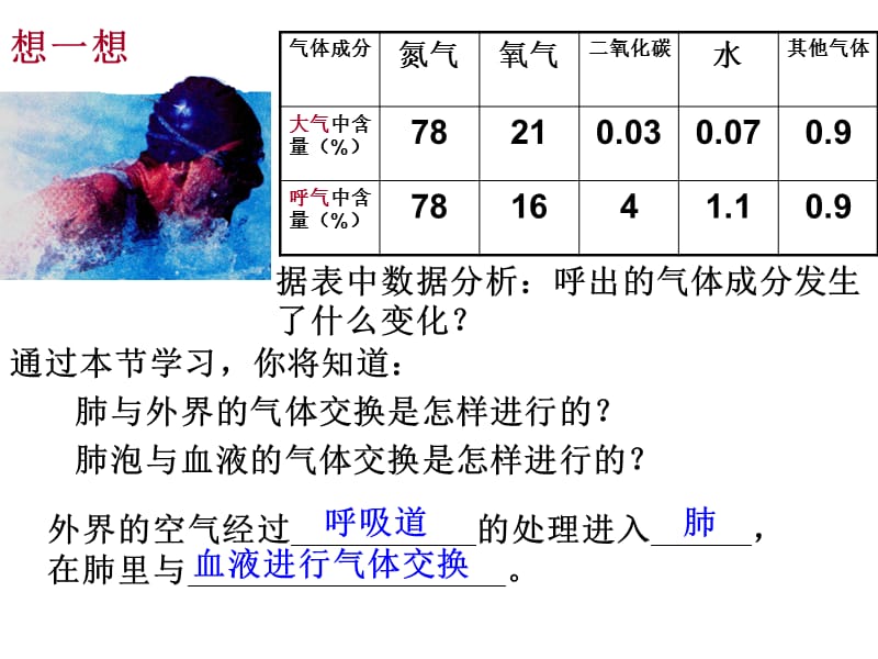 4.32发生在肺内的气体交换.ppt_第2页