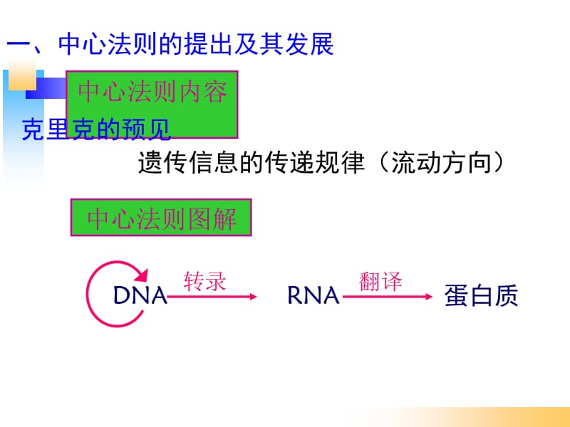 4.2《基因对性状的控制》课件蓝素华.ppt_第2页