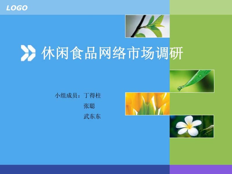 休闲食品网络市场调研报告.ppt.ppt_第1页