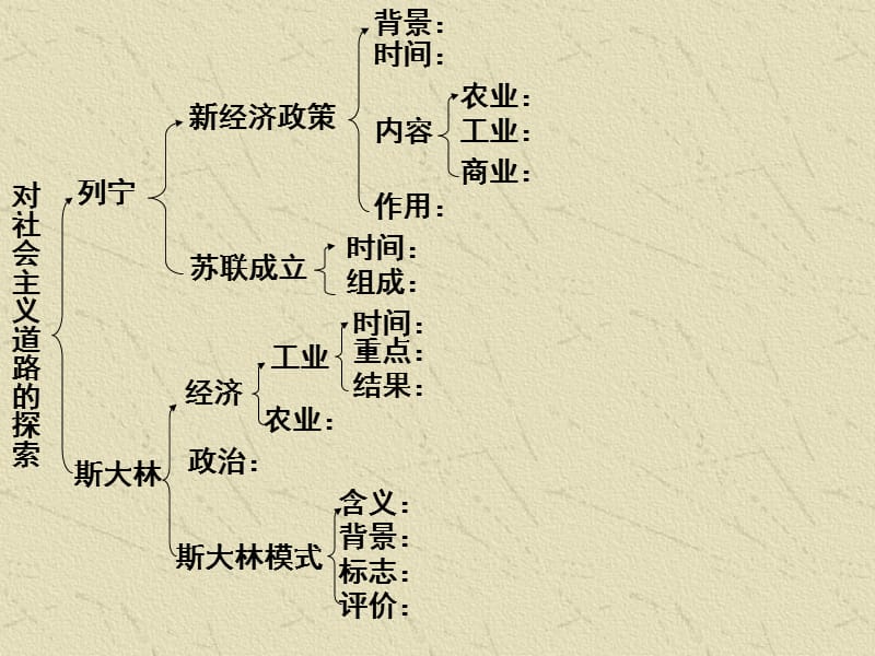 2.对社会主义道路的探索.ppt_第3页