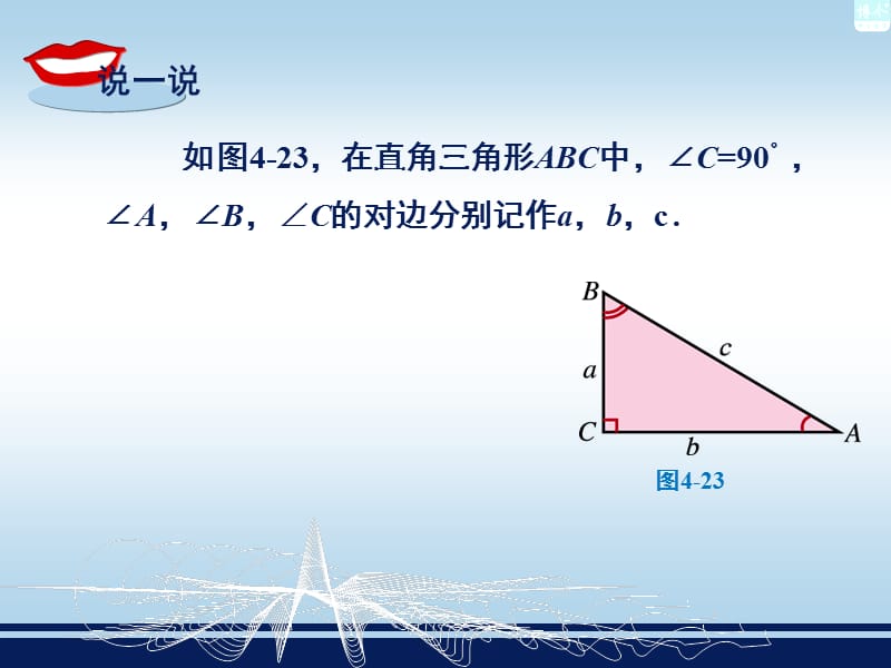 4.3解直角三角形及其应用.ppt_第2页