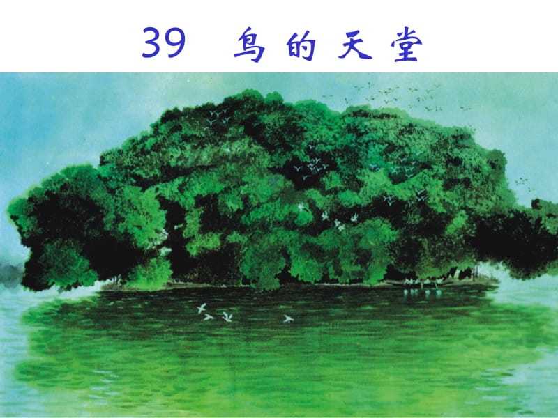 39、鸟的天堂.ppt_第2页