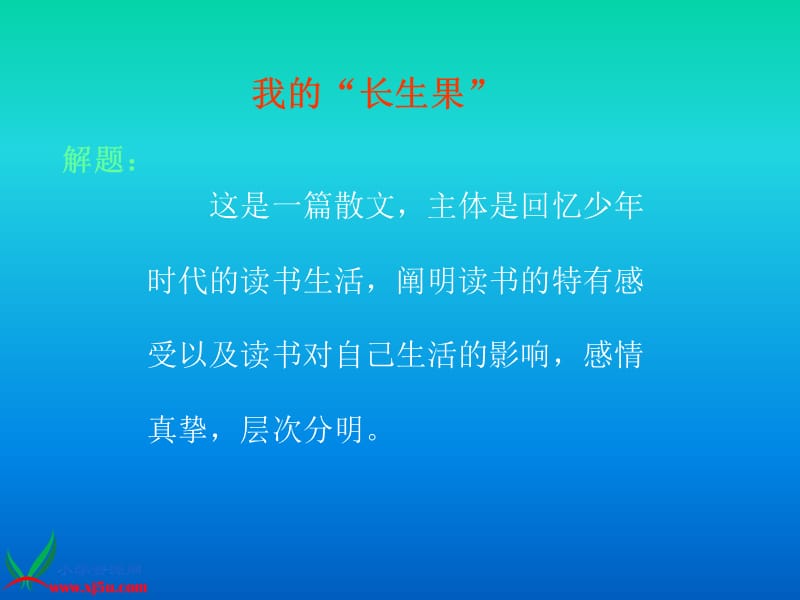 4我的“长生果”.ppt_第2页