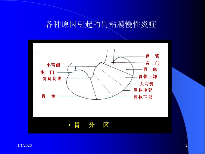 “慢性胃炎”定稿 ppt课件.ppt_第2页