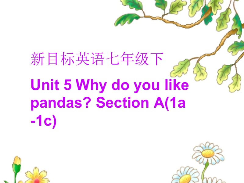 2.【课件素材一】Unit5Whydoyoulikekoalas.SectionA.ppt_第1页