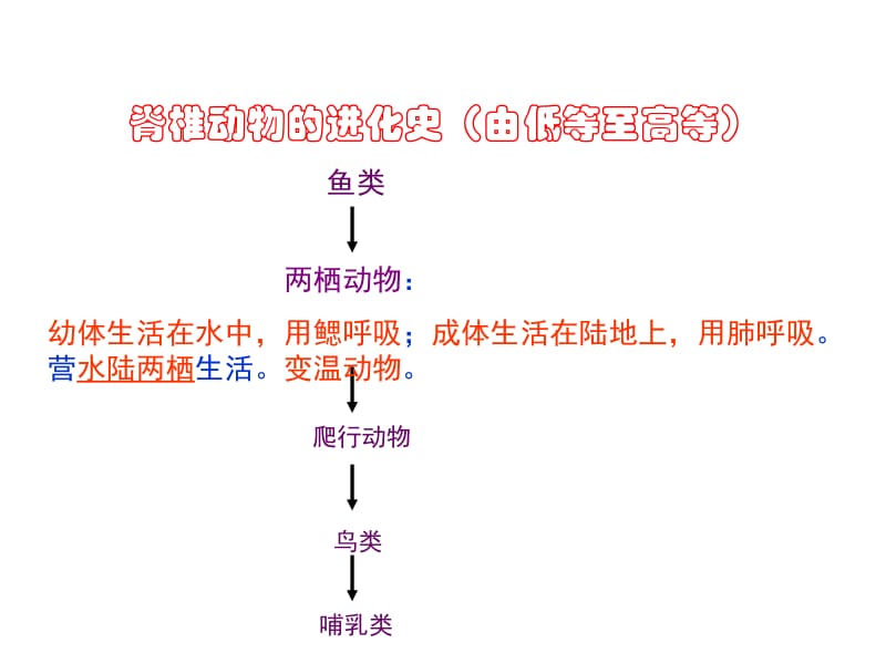 两栖动物的生殖和发育课件.ppt_第3页