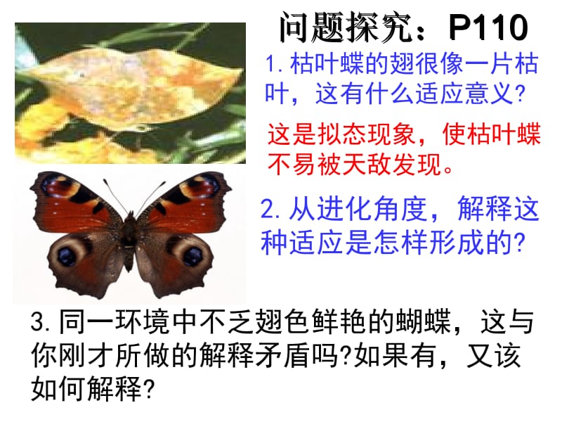 7.1《现代生物进化理论的由来》课件卿尚琴.ppt_第2页