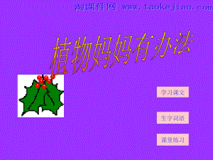二年级上册《植物妈妈有办法》课件.ppt
