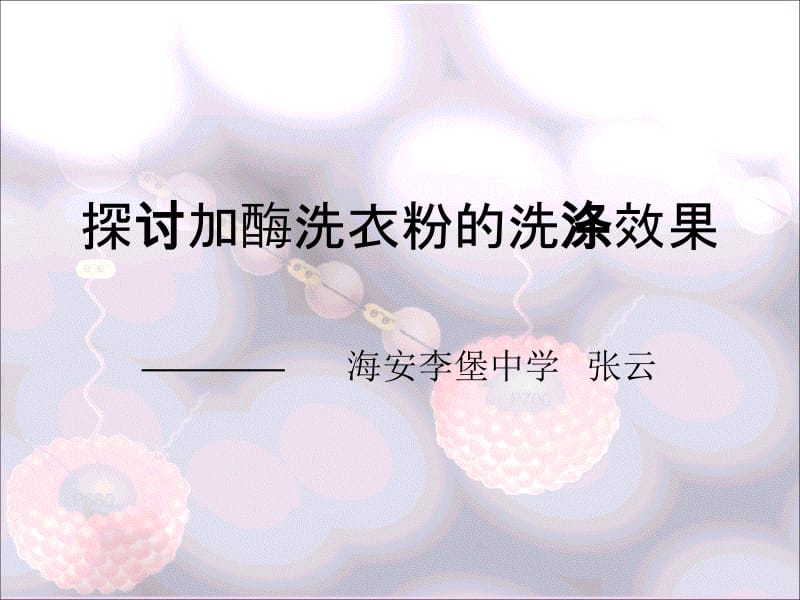 4.2《探讨加酶洗衣粉的洗涤效果》课件古振宣.ppt_第1页