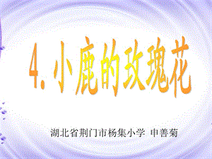 人教版二年级语文《小鹿的玫瑰花》课件.ppt