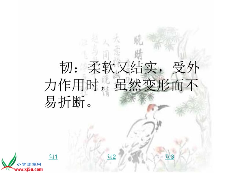 19《夹竹桃》(2).ppt_第3页