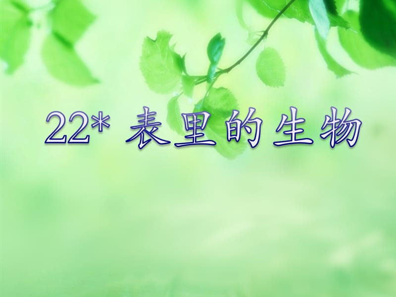 22.表里的生物_.ppt_第1页