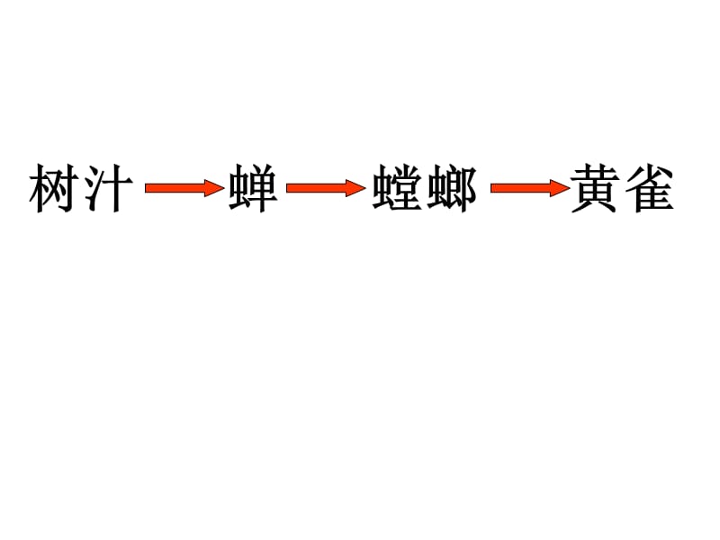 五年级上册科学课件－1.5《食物链和食物网》 ｜教科版 (共11张PPT).ppt_第3页