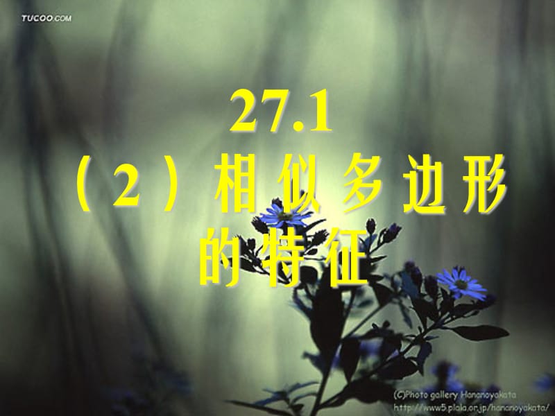 27.1(2)相似图形的特征.ppt_第1页