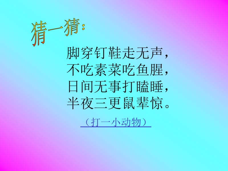 猫ppt课件下载PPT.ppt_第2页