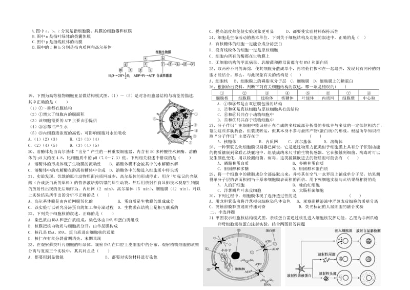 高中生物必修一第三章练习题及答案.doc_第2页