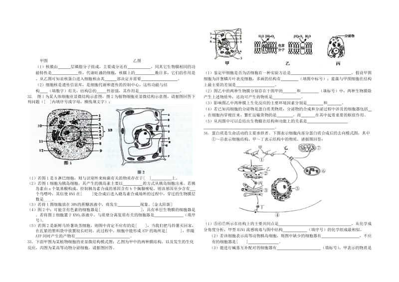 高中生物必修一第三章练习题及答案.doc_第3页