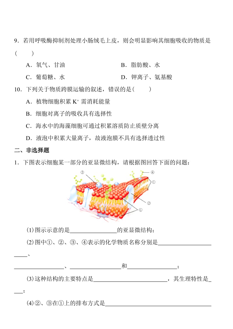 高中生物必修一第四章练习及答案.doc_第3页