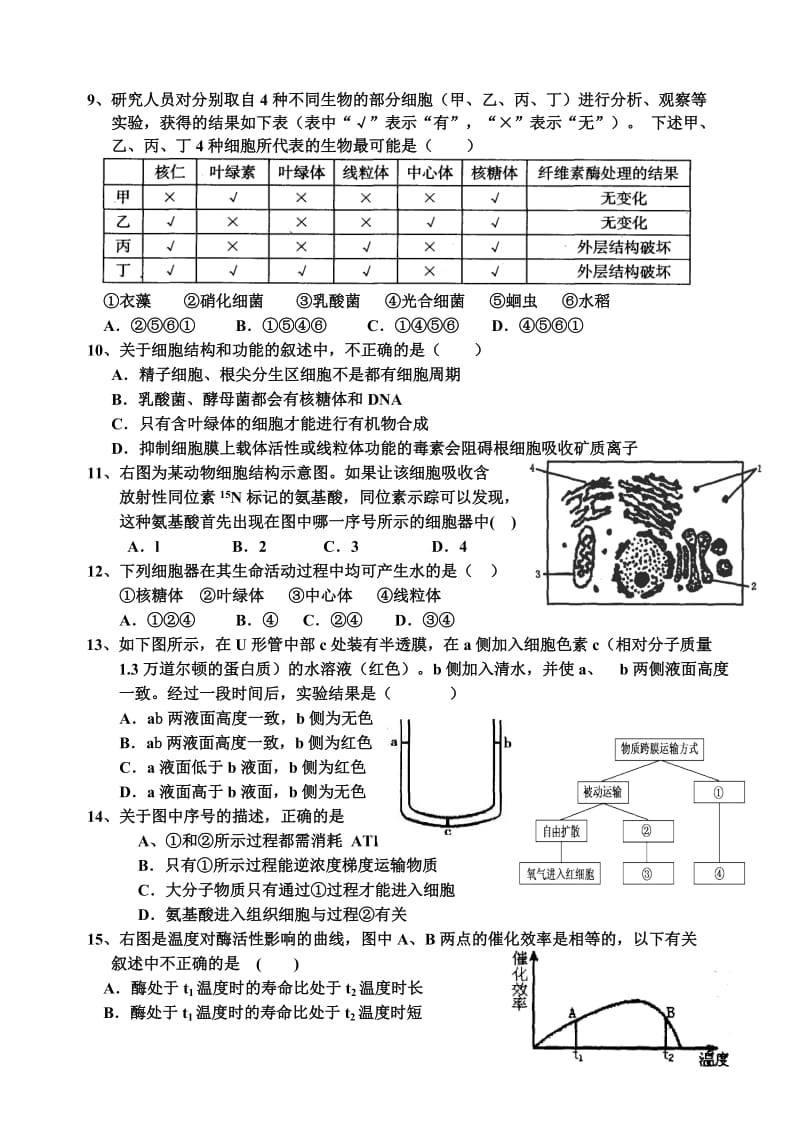 高一生物期末考试题及答案.doc_第2页