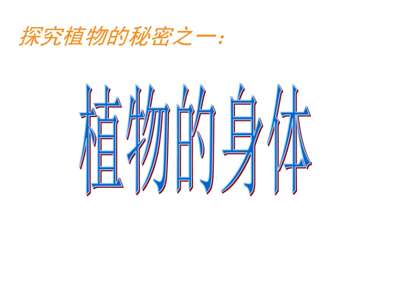 青岛版四年级科学上册植物的身体课件.ppt_第1页