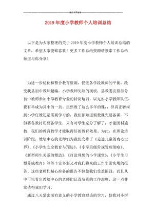 2019年度小学教师个人培训总结.doc