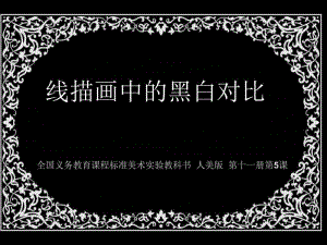 5.线描画中的黑白对比.ppt