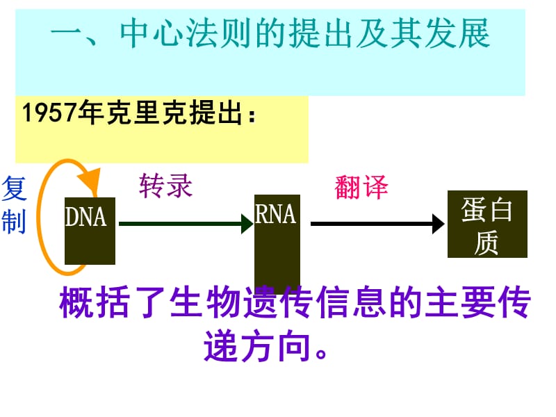 4.2《基因对性状的控制》课件雷群英.ppt_第2页