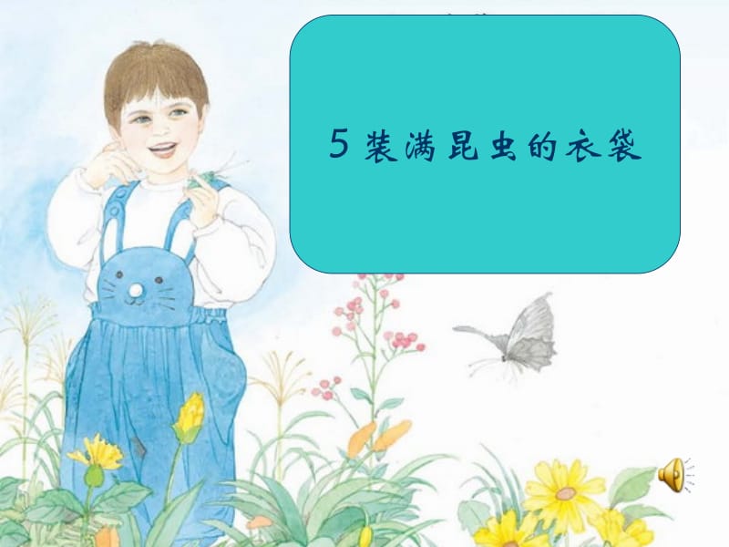 5装满昆虫的衣袋.ppt_第1页