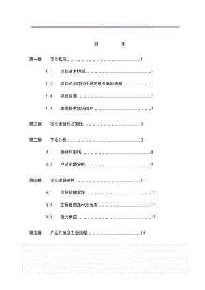 生物质能源综合开发项目可行性研究报告 (2).doc