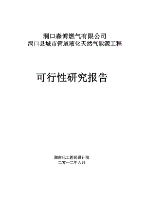 洞口县液化天然气能源工程项目可行性研究报告.doc