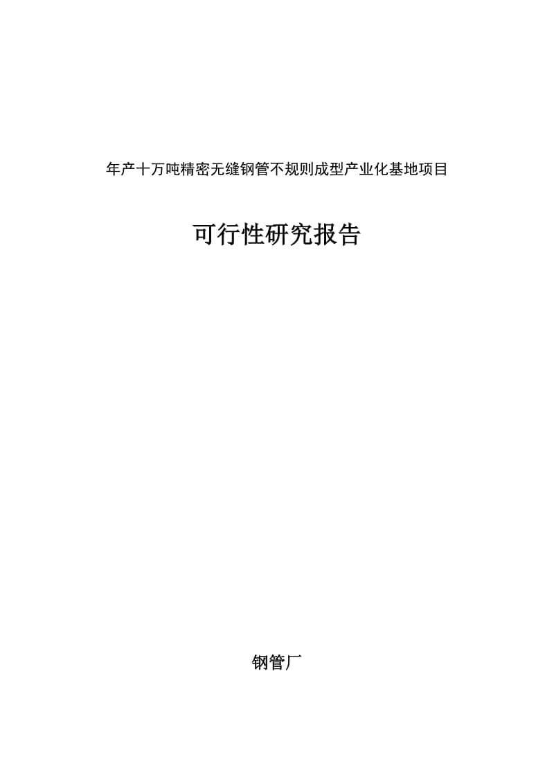 年产十万吨精密无缝钢管不规则成型产业化基地项目可行性研究报告.doc_第1页