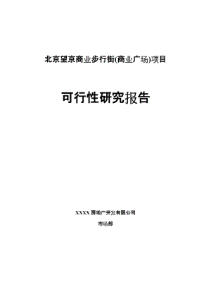 北京望京商业步行街(商业广场)项目可行性研究报告.doc