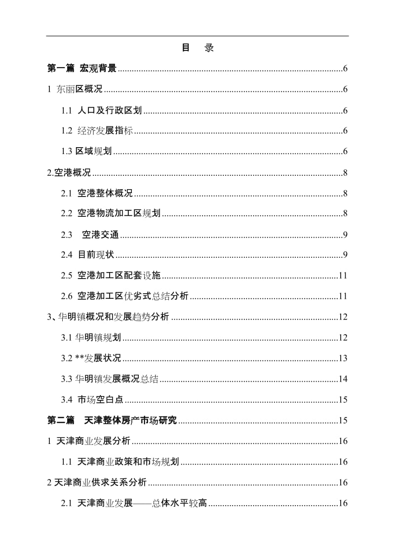 天津市东丽区华明镇项目可行性研究报告 (2).doc_第1页