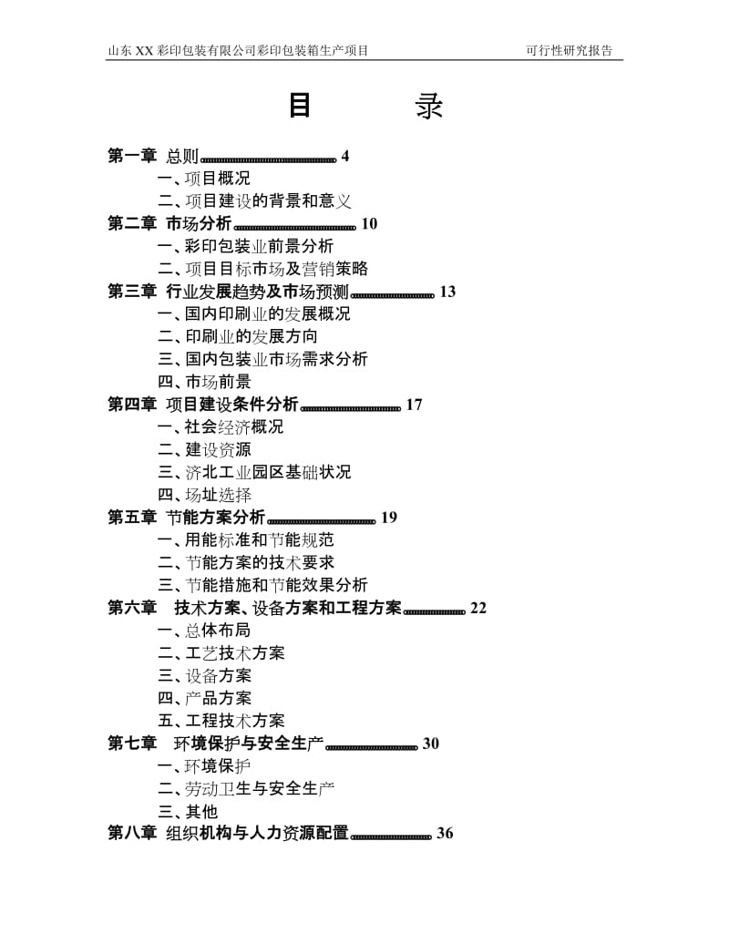 山东XX彩印包装有限公司彩印包装生产项目可行性研究报告.doc_第1页