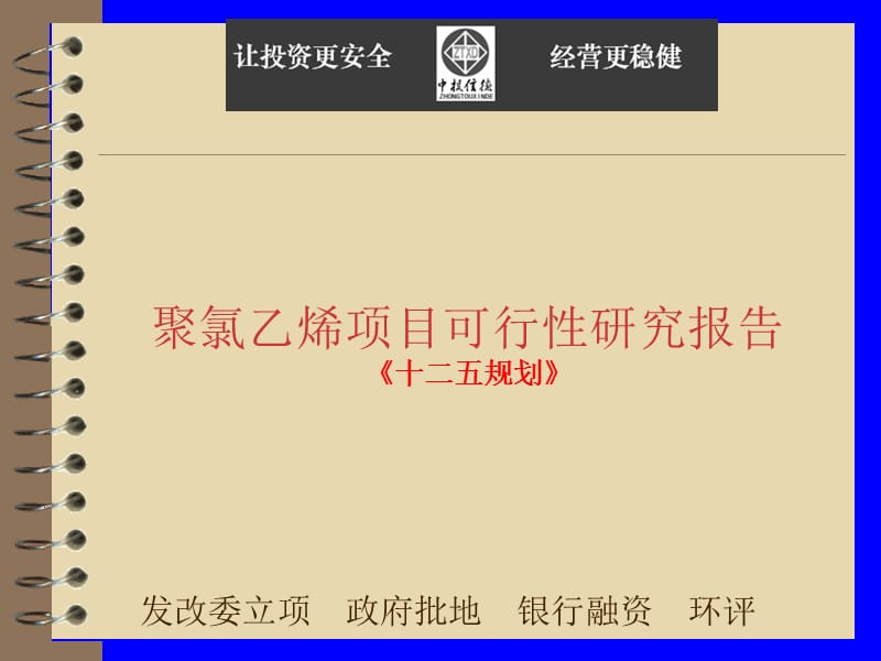 聚氯乙烯项目可行性研究报告.ppt_第1页