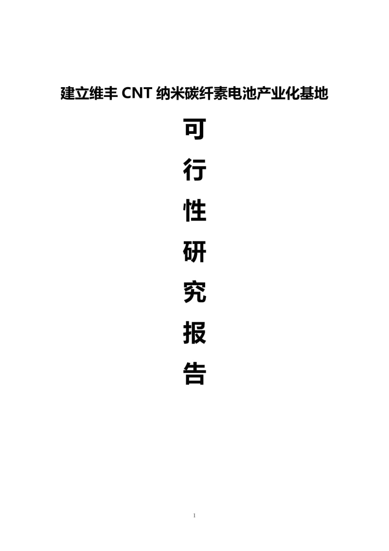 某某CNT纳米碳纤素电池基地可行性研究报告.doc_第1页