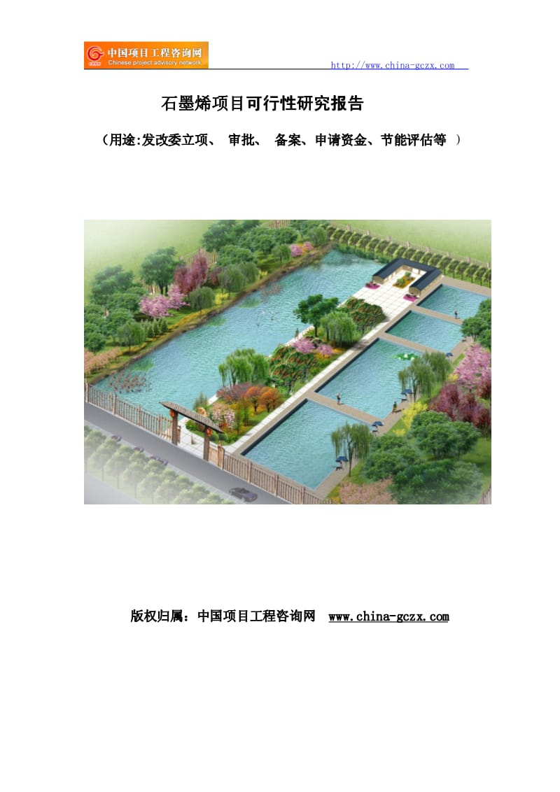 石墨烯项目可行性研究报告.pdf_第1页